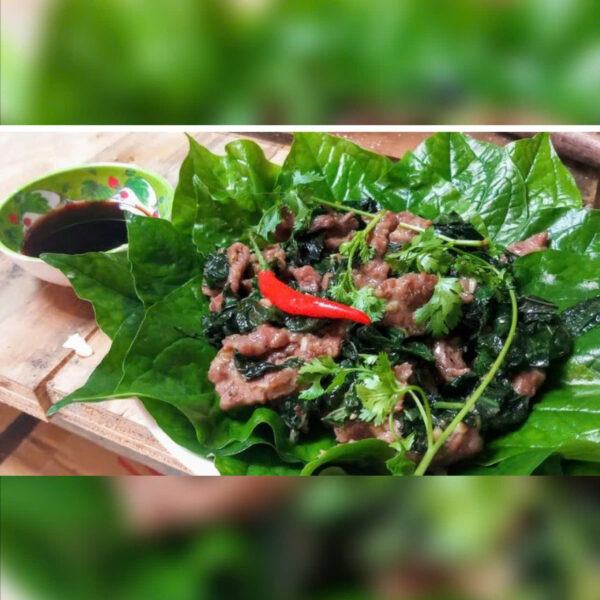 thit-ngua-xao-rau-gi-2-1