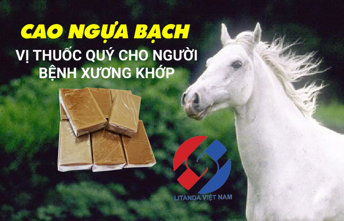1 Cao Ngựa Bạch Hay 1 Lạng Cao Ngựa Bạch 3 1 Cao Ngựa Bạch Hay 1 Lạng Cao Ngựa Bạch 3
