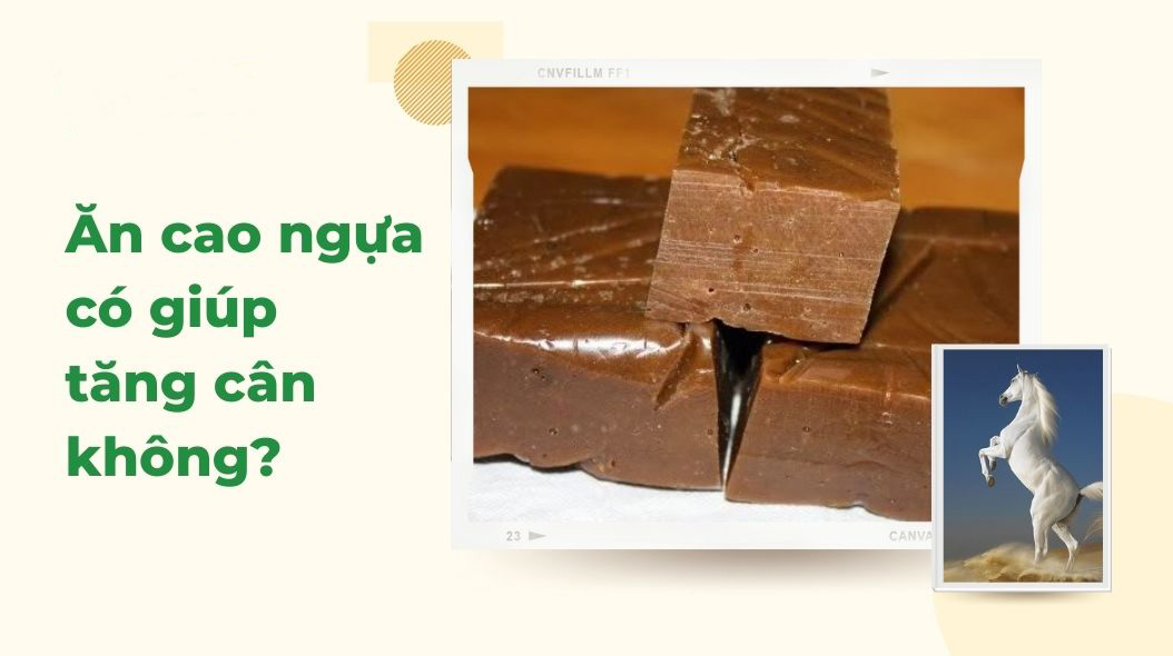 Ăn Cao Ngựa Có Béo Không 2