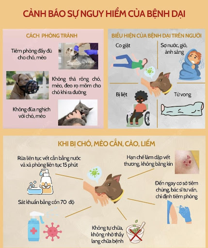 Bị Mèo Cắn Ở Đầu Ngón Tay 5 Bị Mèo Cắn Ở Đầu Ngón Tay 5