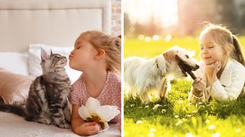 Bị Mèo Cắn Ở Đầu Ngón Tay 15 Bị Mèo Cắn Ở Đầu Ngón Tay 15