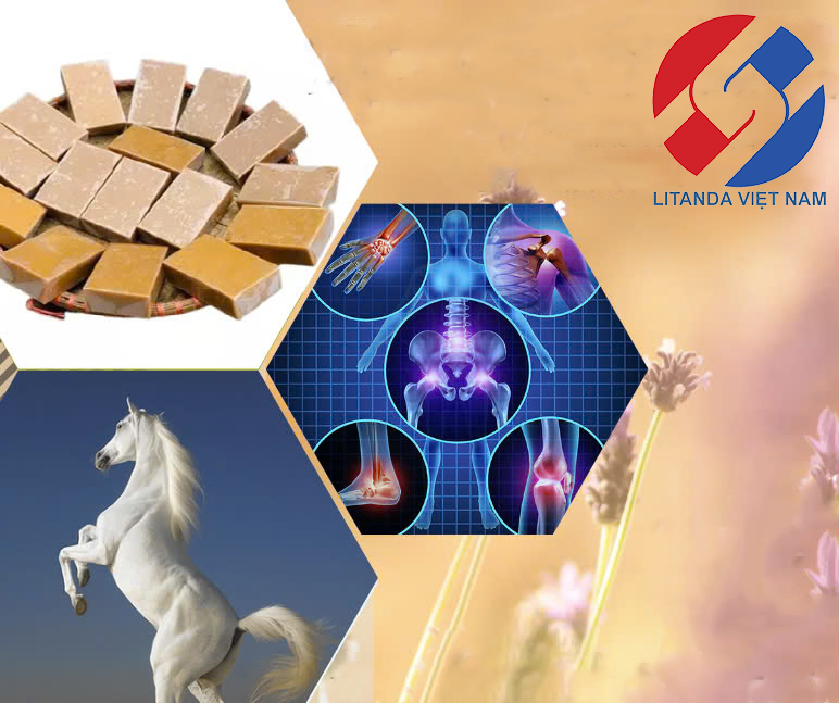 Cách Ngâm Cao Ngựa Với Rượu 3