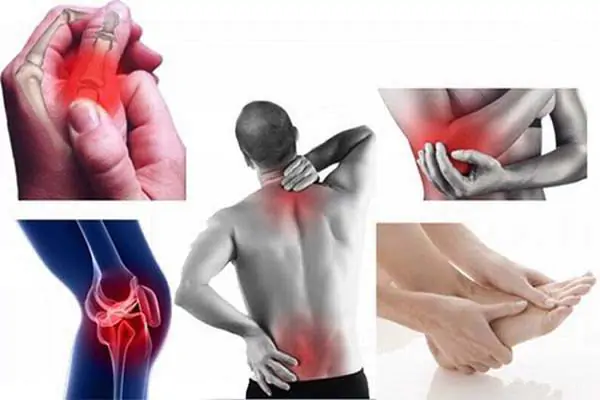 Cách Sử Dụng Cao Ngựa Bạch Chuẩn 6 Cách Sử Dụng Cao Ngựa Bạch Chuẩn 6