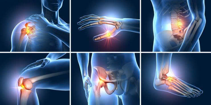 Tại Sao Cao Mèo Đen Được Nhiều Người Tìm Mua 2