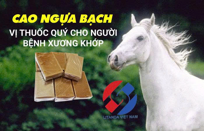 Cao Ngựa Cho Người Bị Xương Khớp