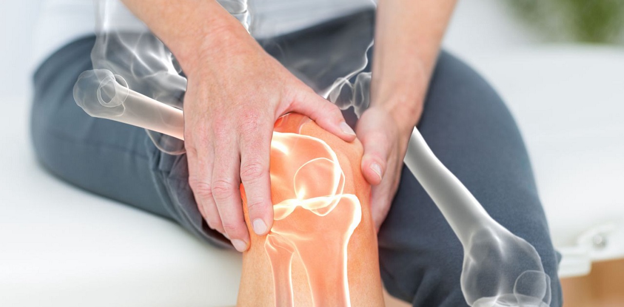 Cao Ngựa Bạch: Bí Quyết Hồi Xuân Cho Nữ Giới 6