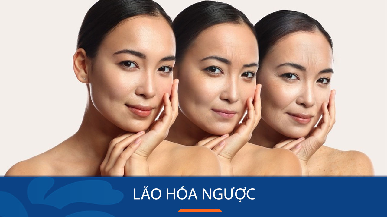 Giá Cao Ngựa Bạch Mắt Đỏ Bao Nhiêu 8
