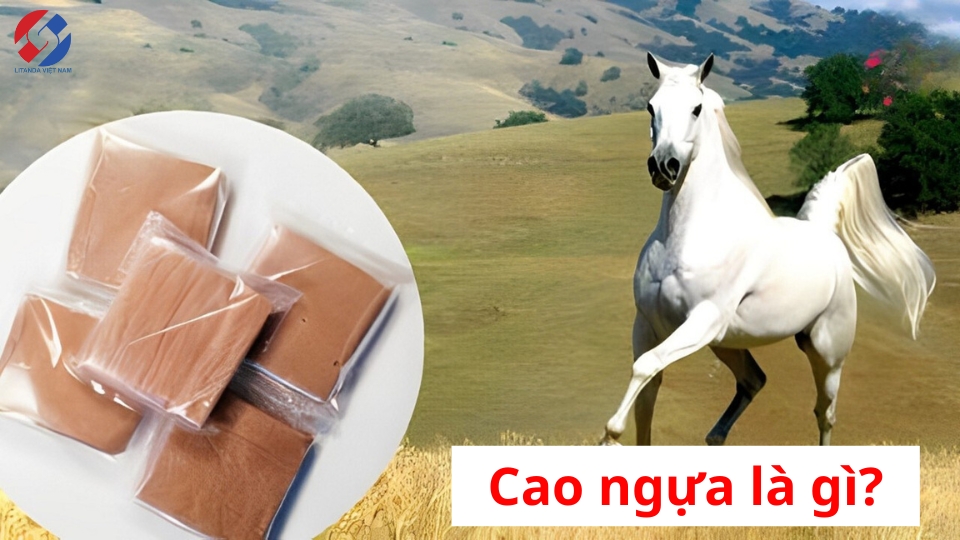 Cao Ngựa Dùng Cho Lứa Tuổi Nào 1
