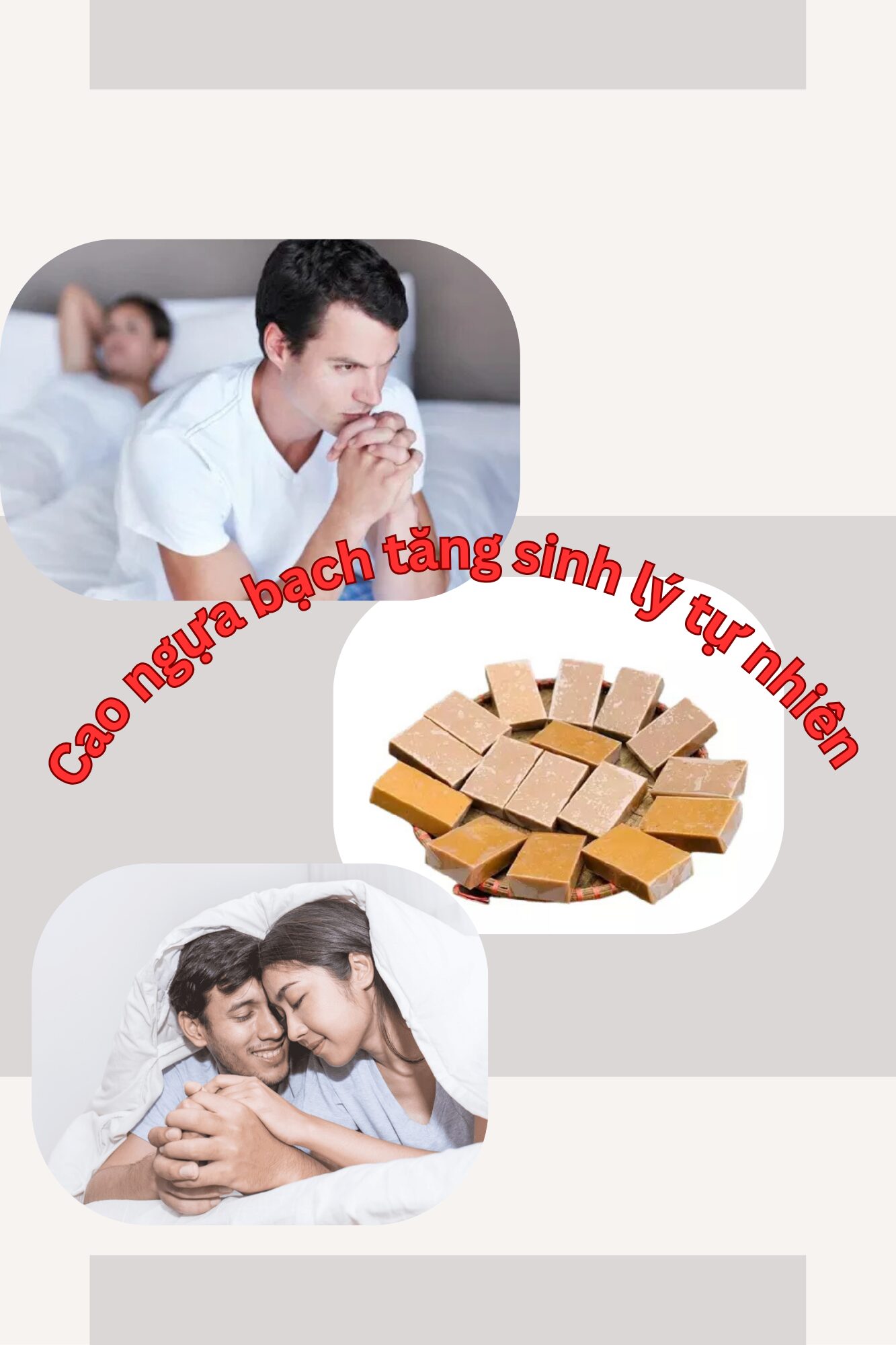 Giá Cao Ngựa Bạch Mắt Đỏ Bao Nhiêu 3