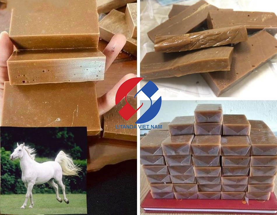 Nên Dùng Cao Xương Ngựa Mông Cổ Hay Cao Xương Ngựa Bạch Litanda 5