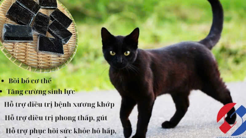 Giá Cao Xương Mèo Đen 2