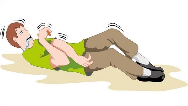 Bị Mèo Cắn Chảy Máu Có Sao Không 6