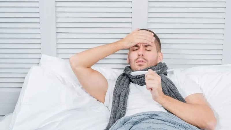 Bị Mèo Cắn Chảy Máu Có Sao Không 12