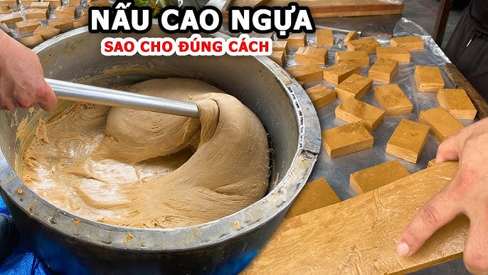 Quy Trình Nấu Cao Ngựa Bạch Gia Truyền 10