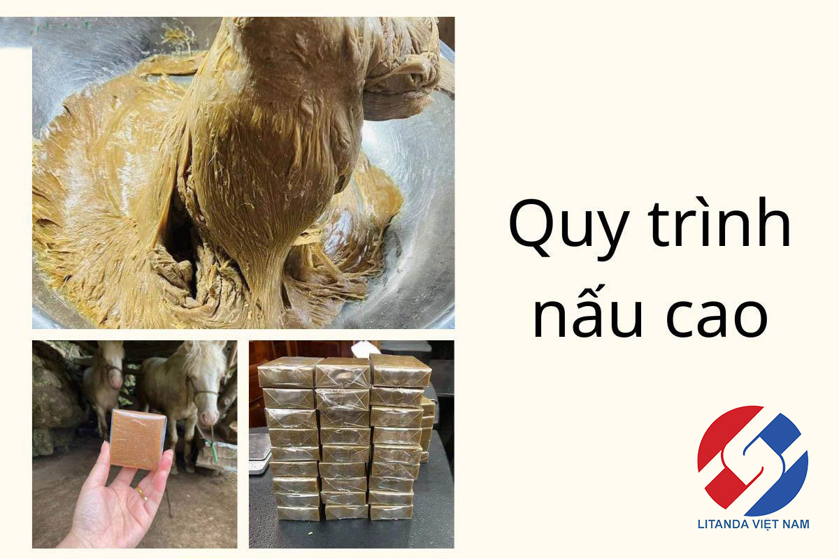 Quy Trình Nấu Cao Ngựa Bạch Gia Truyền 12