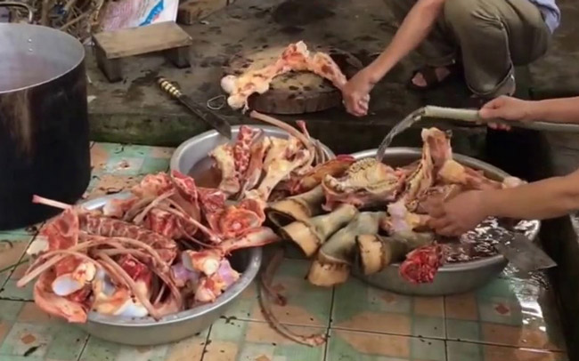 Quy Trình Nấu Cao Ngựa Bạch Gia Truyền 5