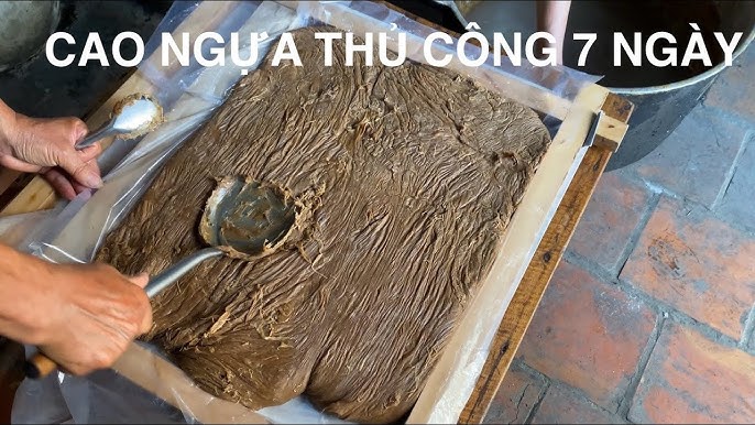 Quy Trình Nấu Cao Ngựa Bạch Gia Truyền 8