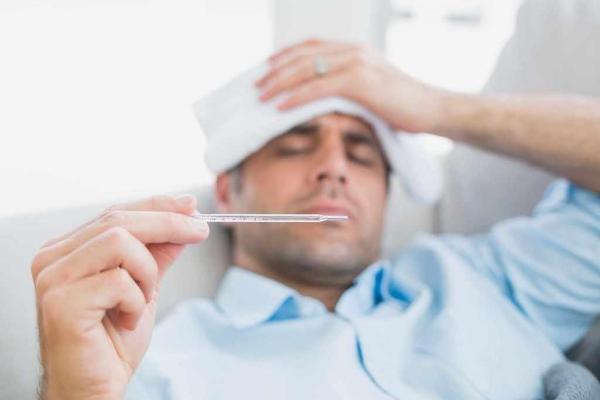 Cách Ngâm Cao Ngựa Với Mật Ong 12 Cách Ngâm Cao Ngựa Với Mật Ong 12