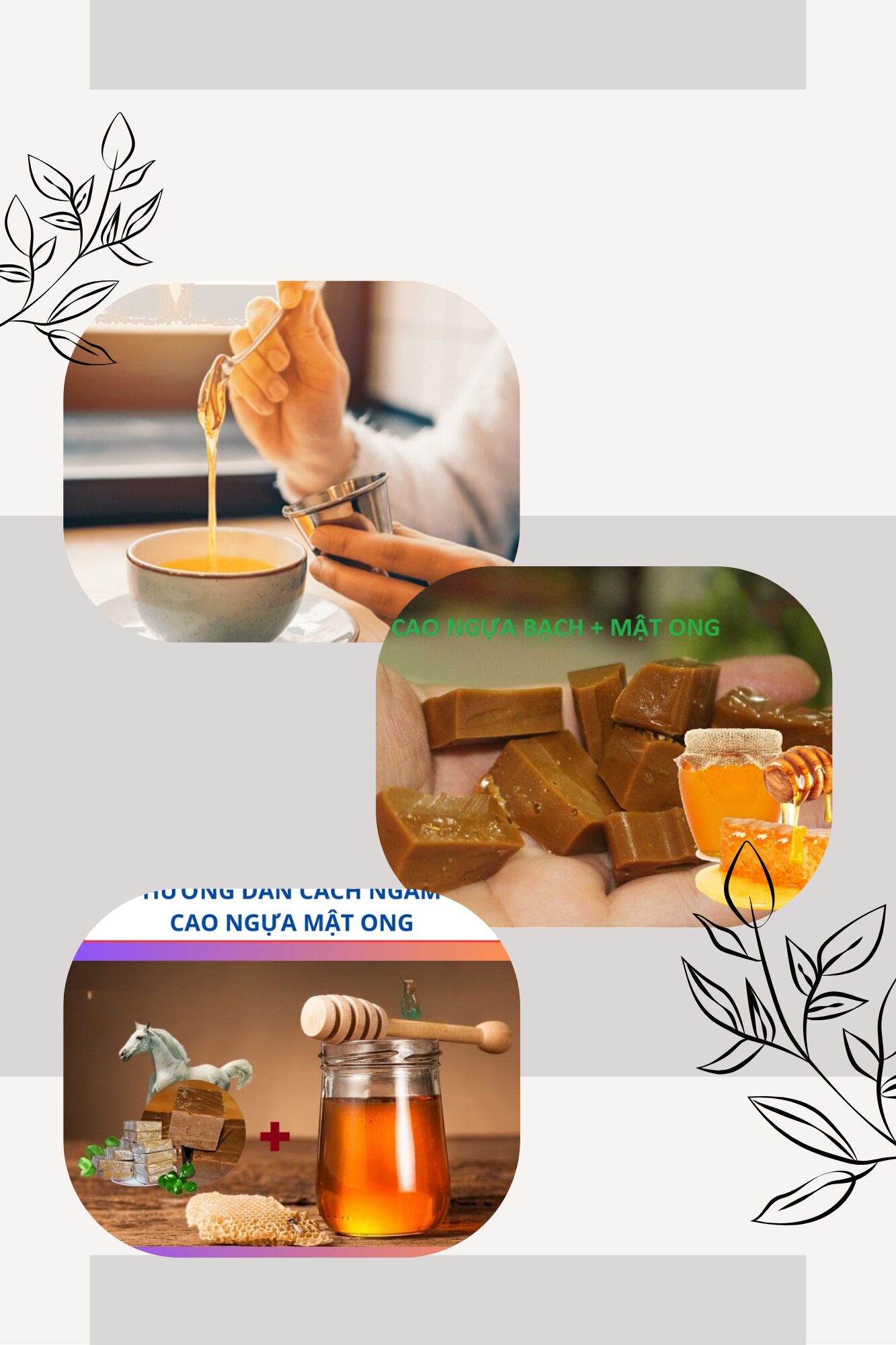 Cách Ngâm Cao Ngựa Với Mật Ong 13 Cách Ngâm Cao Ngựa Với Mật Ong 13
