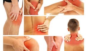 Tác Dụng Của Cao Xương Mèo Đen 2