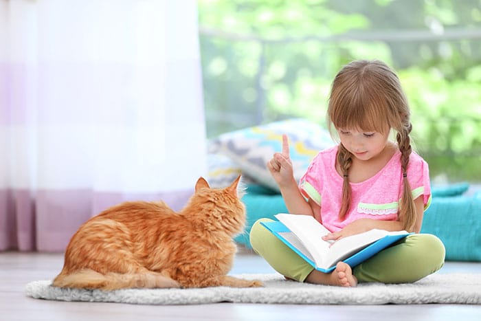 Triệu Chứng Khi Bị Mèo Dại Cắn 13 Triệu Chứng Khi Bị Mèo Dại Cắn 13