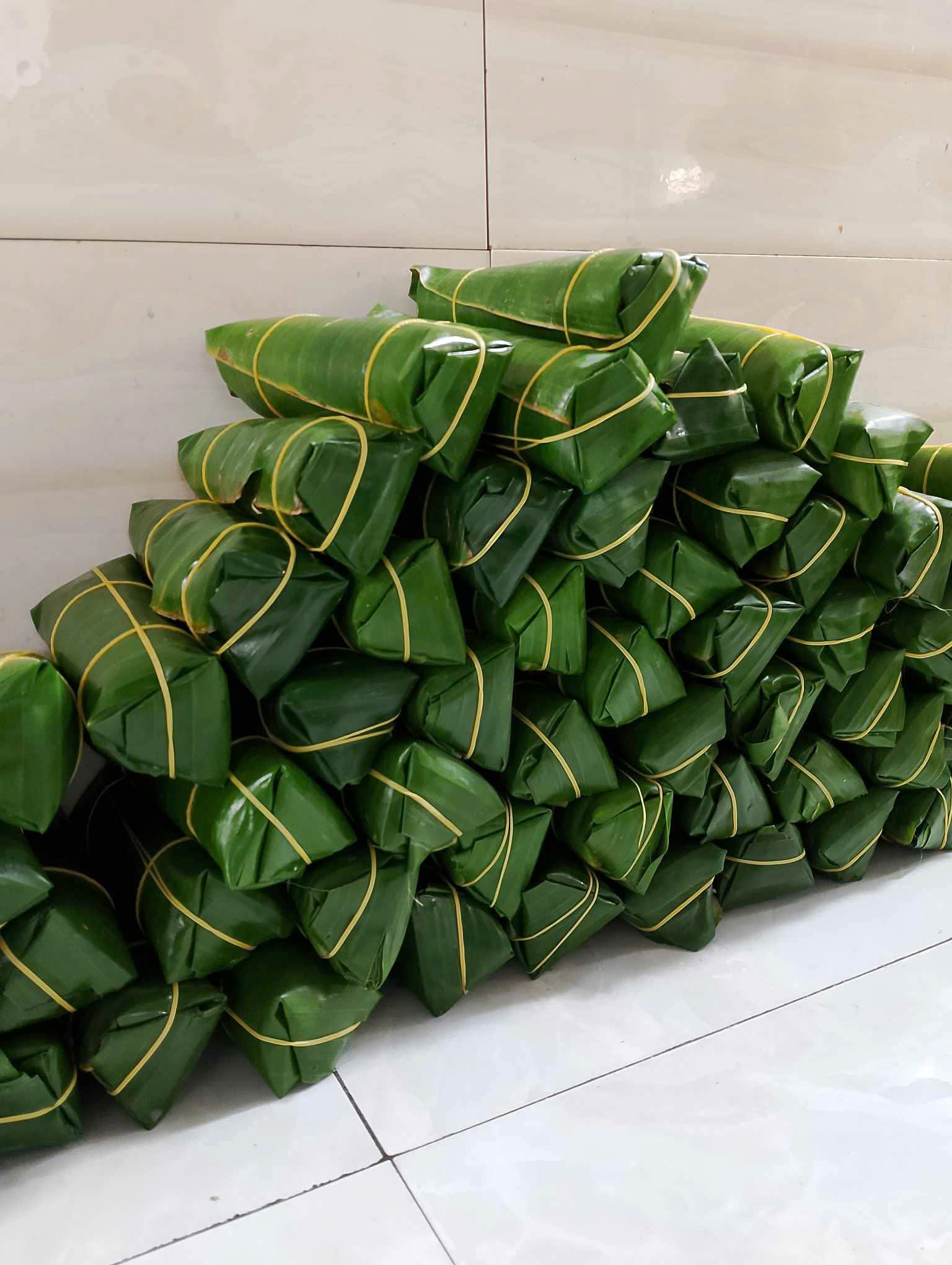 Cách Bảo Quản Nem Ngựa Khi Vận Chuyển Xa 7